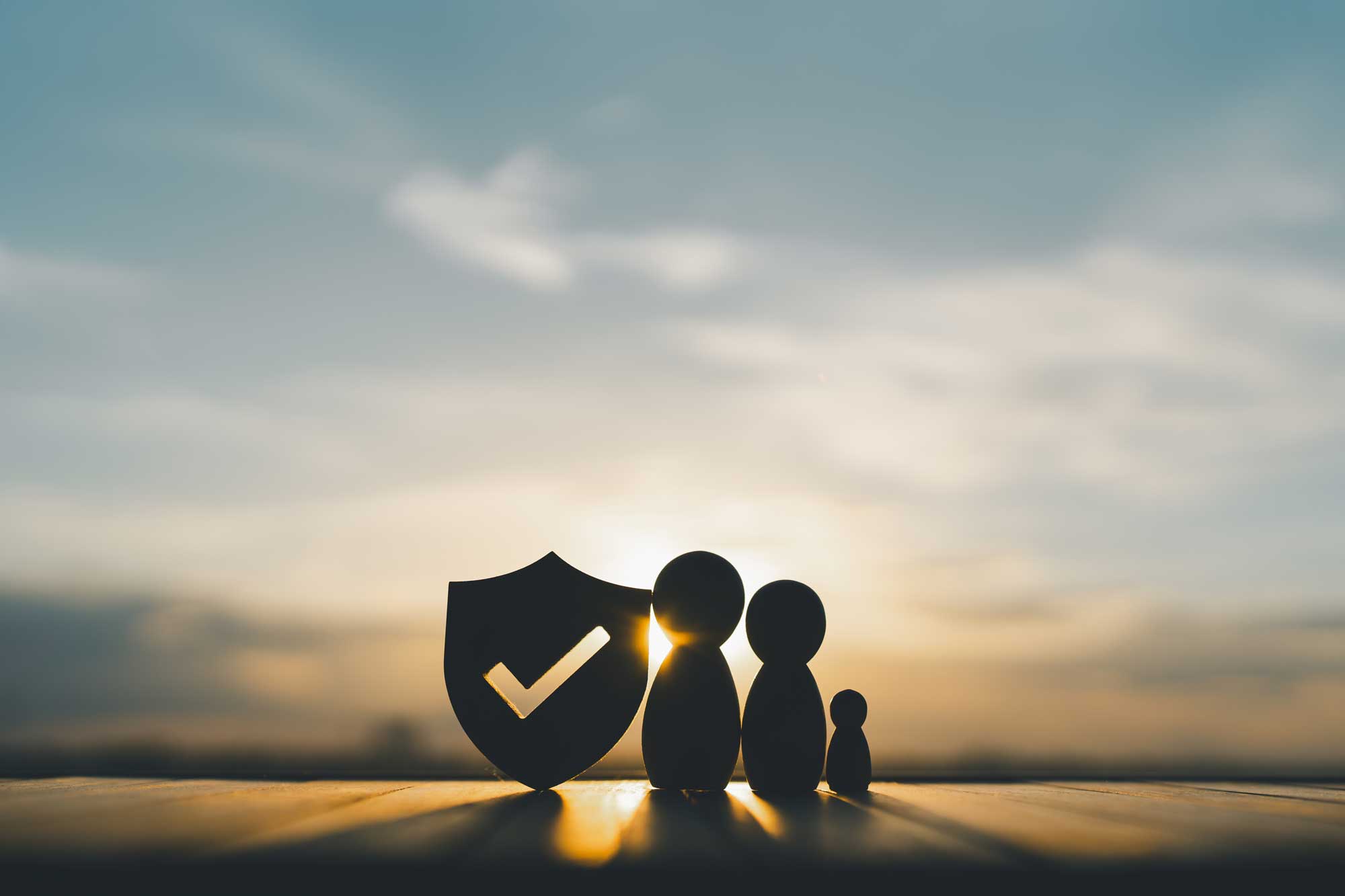 shield-protect-icon-and-family-model